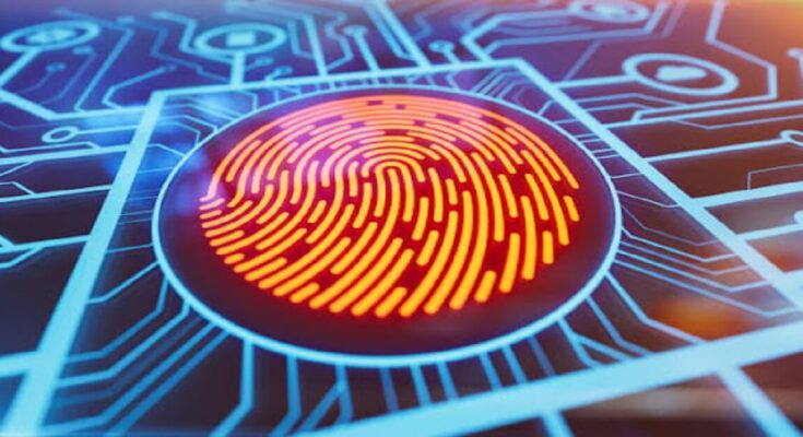 KYC Verification