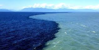 The Pacific Ocean