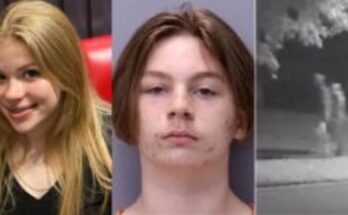 Understanding the Tristyn Bailey Autopsy and Investigation Results